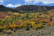Black Canyon colors 1a.jpg