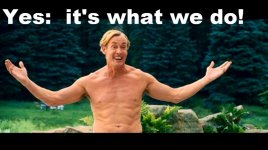 Wild-Hogs-john-c-mcginley-29208283-500-281.jpg