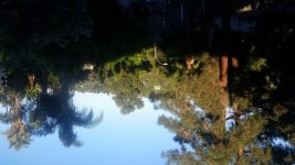 20161008_074420.jpg