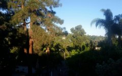 20161008_075427.jpg