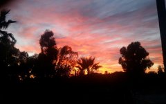 20161008_075510.jpg