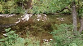 IMG_20161008_130511095.jpg