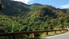 IMG_20161007_125027912.jpg