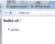 Scam web page.JPG