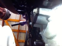 IMG_20090209_162606.jpg