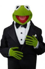11_kermit.w245.h368.jpg