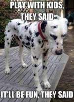 Spyder Dog.jpg