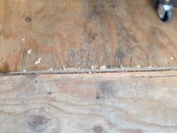 IMG_0873.jpg IMG_0873.jpg