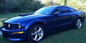 stang.jpg
