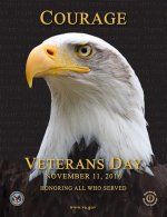 Eagle veterans day.jpg