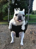 Just Hanging around.jpg