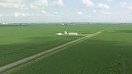 indy flat land.jpg