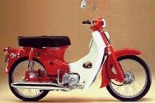 Honda Cub 50.jpg Honda Cub 50.jpg