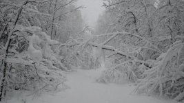 MN 1st Snow.jpg