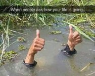 FB_IMG_1480820752033.jpg