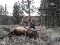 jims elk.jpg