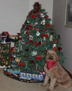 Mandy_Christmas_2013_WEB.jpg
