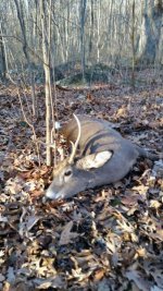 Buck at 70 yrs..jpg