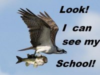I Can See My School.jpg