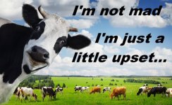 innercowhero.jpg