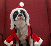 2015-Christmas-funny-images-1.jpg