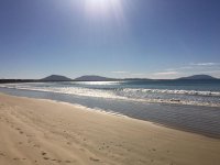 IMG_0272.jpg