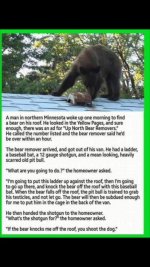 Bear on roof 2.jpg