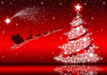 photo_noel.jpg