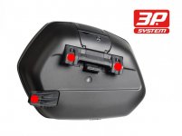 shad6150.jpg