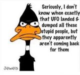 Daffy.jpg