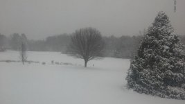 20170107_083827.jpg