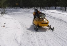 IMG_7801.jpg