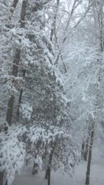2012-01-14_09-40-05_86.jpg