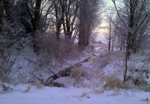 snow (2).jpg