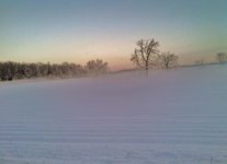 snow 2.jpg