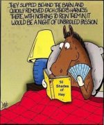 50 Shades of Hay.jpg