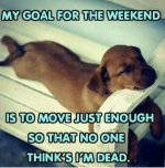 FB_IMG_1484322088792.jpg