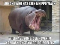 KimK gyno.jpg