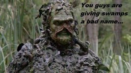 Swamp Thing.jpg