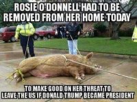 Rosie WILL be leaving.jpg