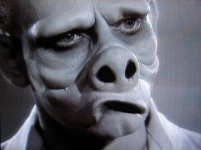 pig face.jpg