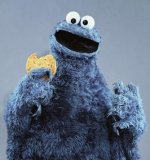 Cookie_monster_puppet.jpg