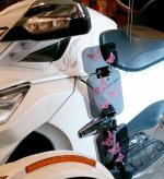 pink butterfly spyder.jpg