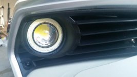 Foglights1.jpg