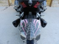 dual exhaust.jpg