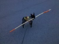 IMG_20120326_200241.jpg