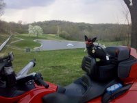 IMG_20120322_185825.jpg