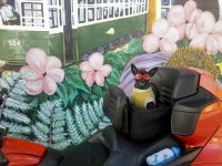 IMG_20120327_182534.jpg