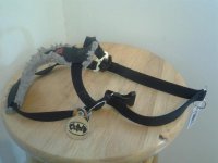 20120405_140003.jpg