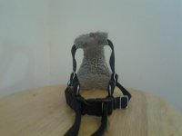20120405_140037.jpg